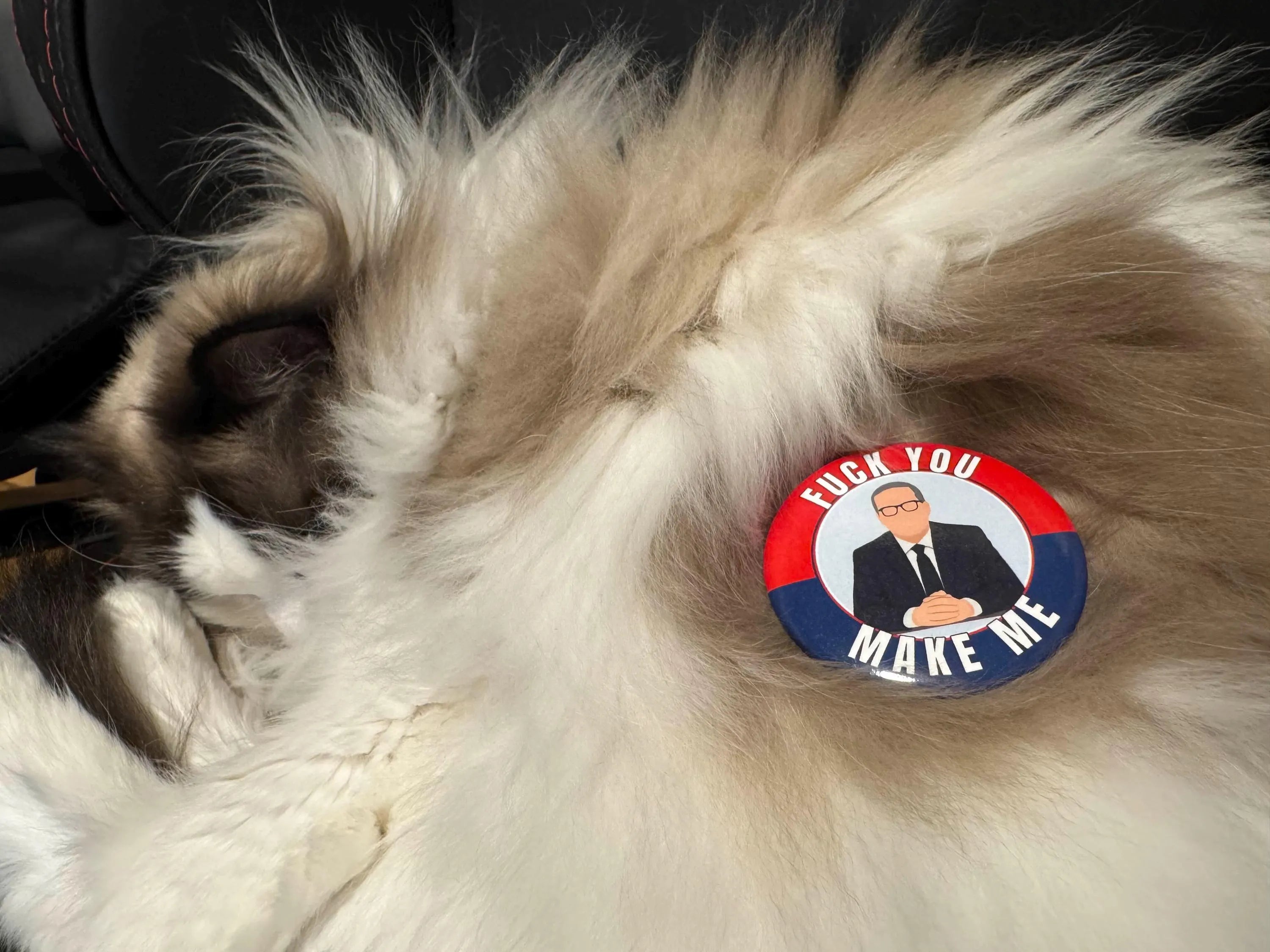 Protest Pin “F You, Make Me” John Oliver Inspired Political Satire Button