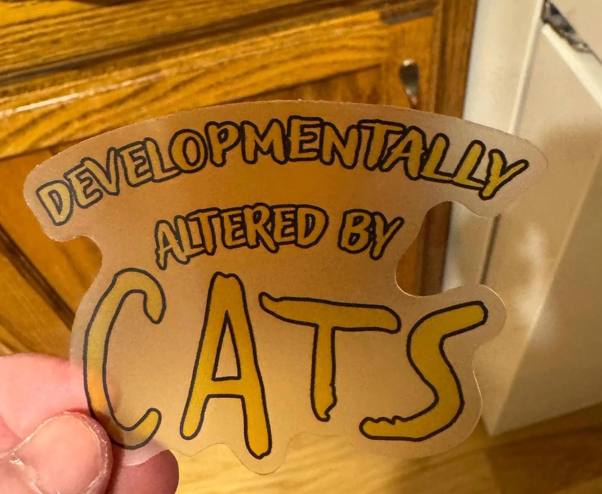 CATS Musical Parody Sticker | Broadway Theater Kid Humor
