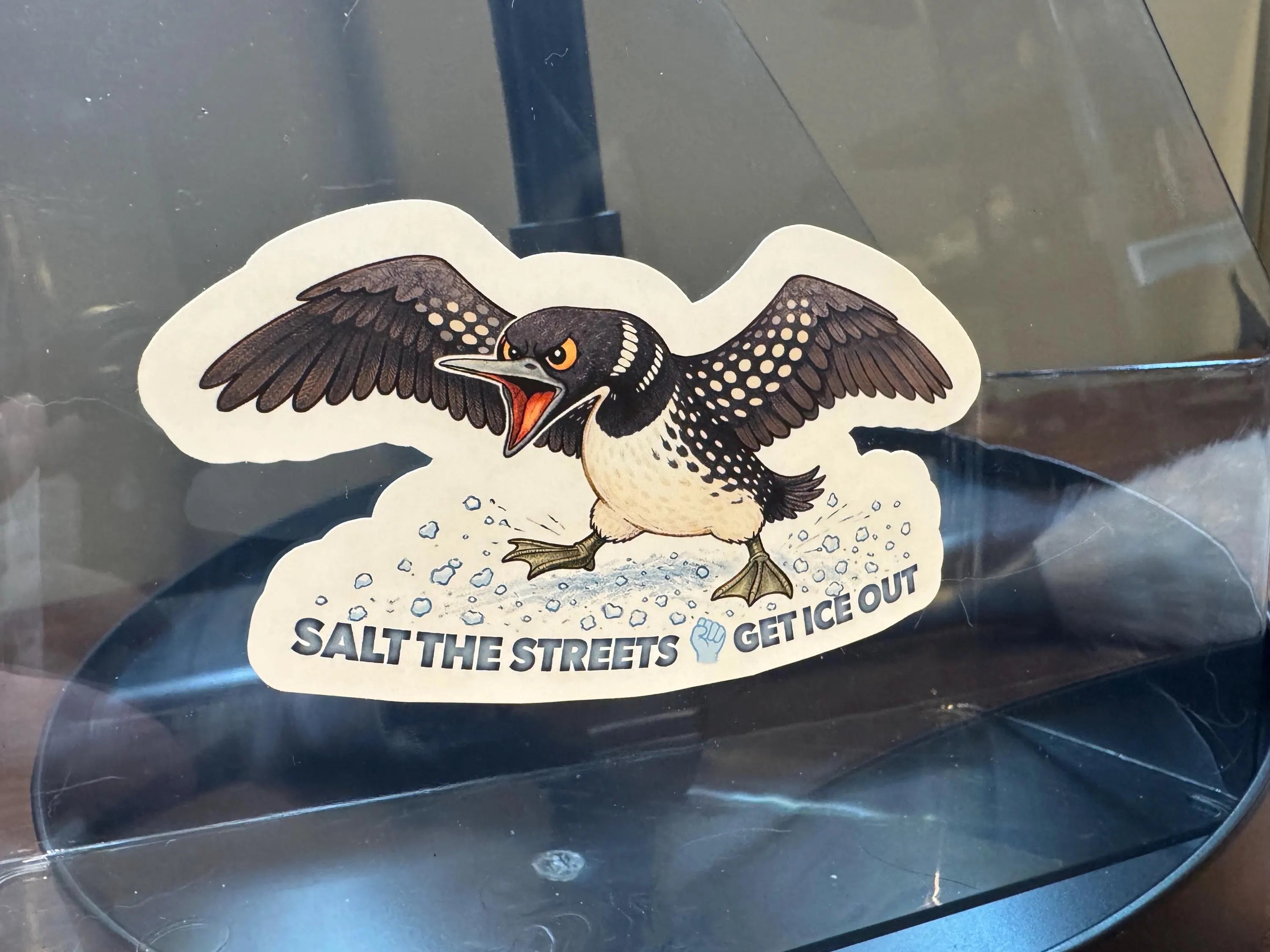 Minnesota Loon Salt the Streets | Fight ICE | Get out of Minneapolis