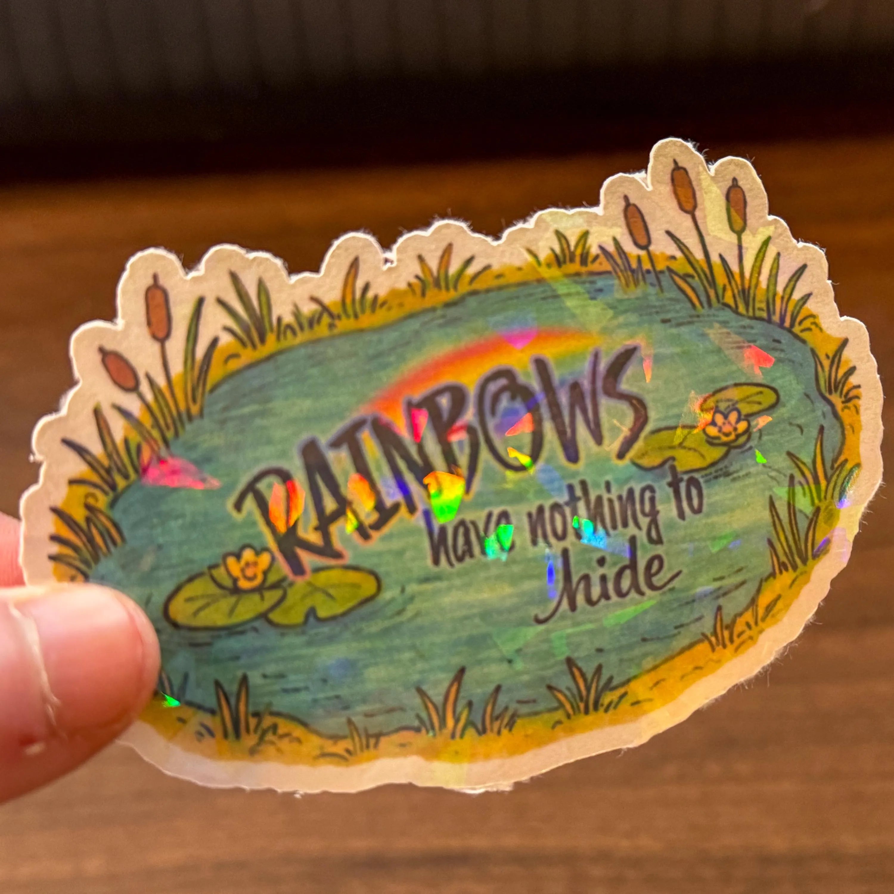Wholesome Rainbow Connection Frog Pond Sticker • LGBTQ Pride Vinyl Sticker