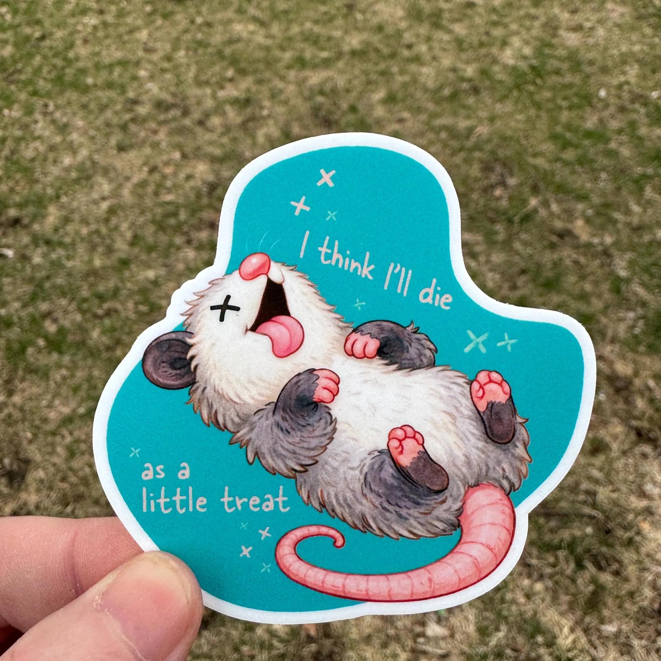 Funny Opossum “Little Treat” Sticker | Cute Possum Humor Vinyl Decal