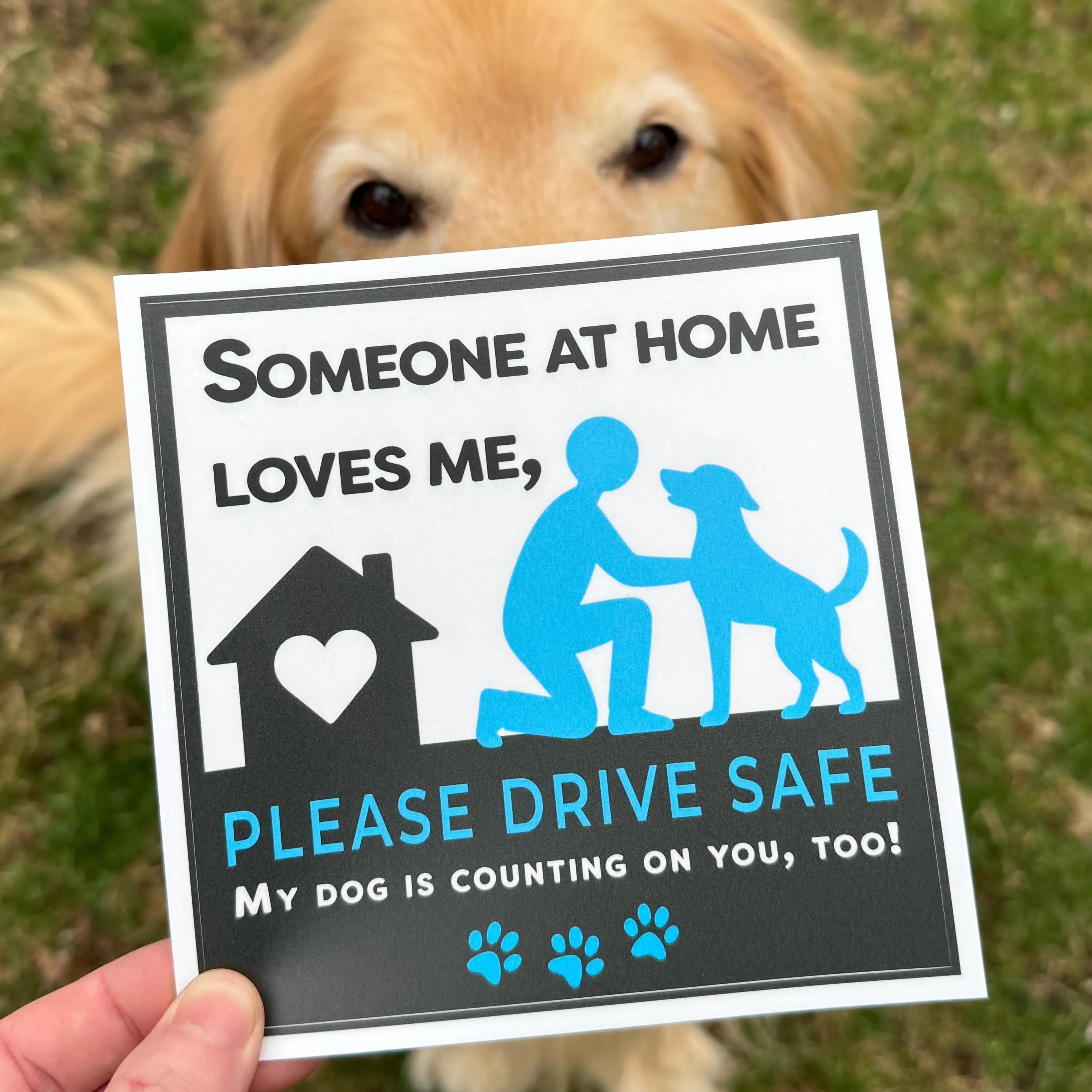 Someone at Home Loves Me Dog Car Decal • Pet Drive Safety Reminder Sticker