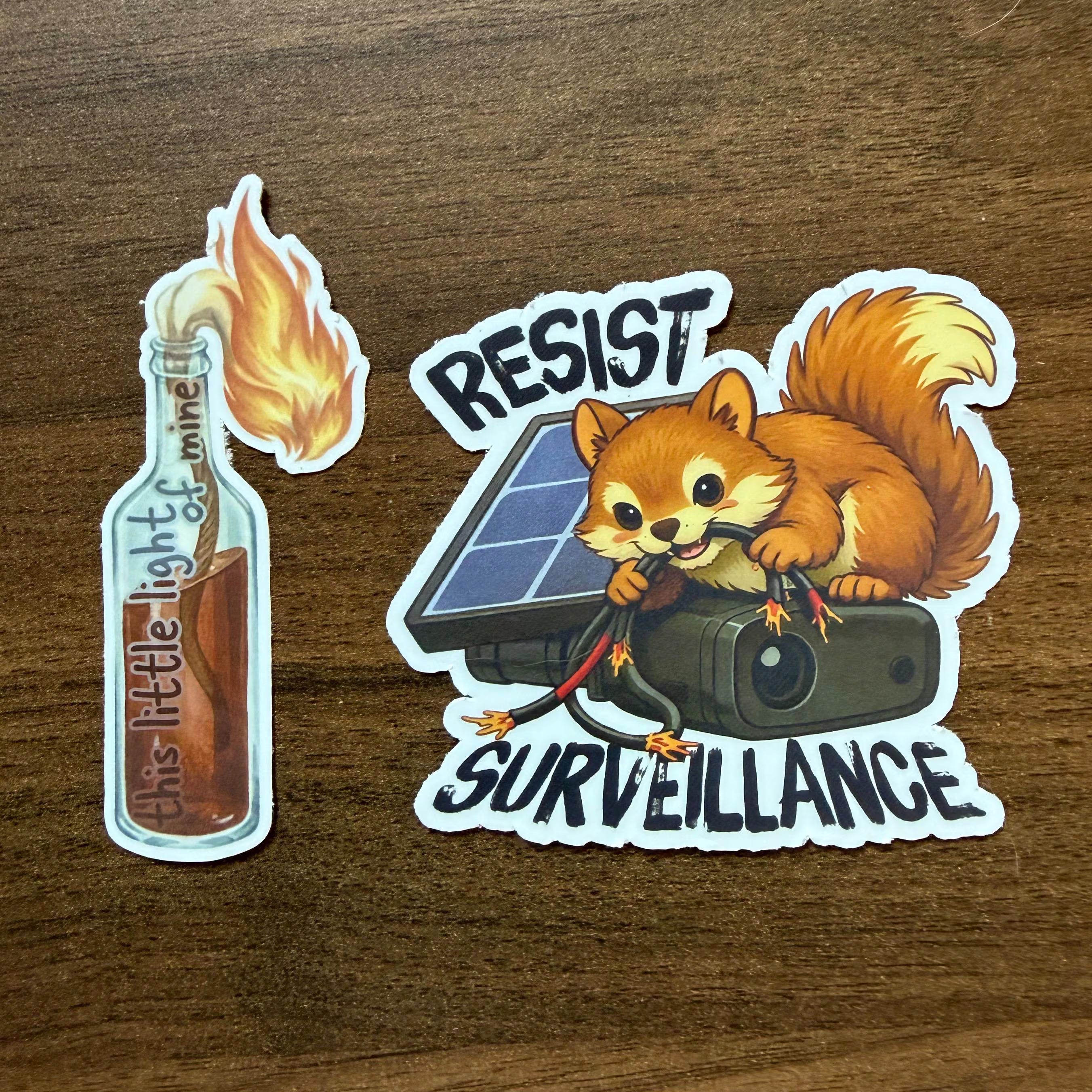 Resist Surveillance Squirrel Sticker | Anti-Camera Vinyl Decal | Weatherproof Laptop Sticker | Anarchist Cottagecore Gift
