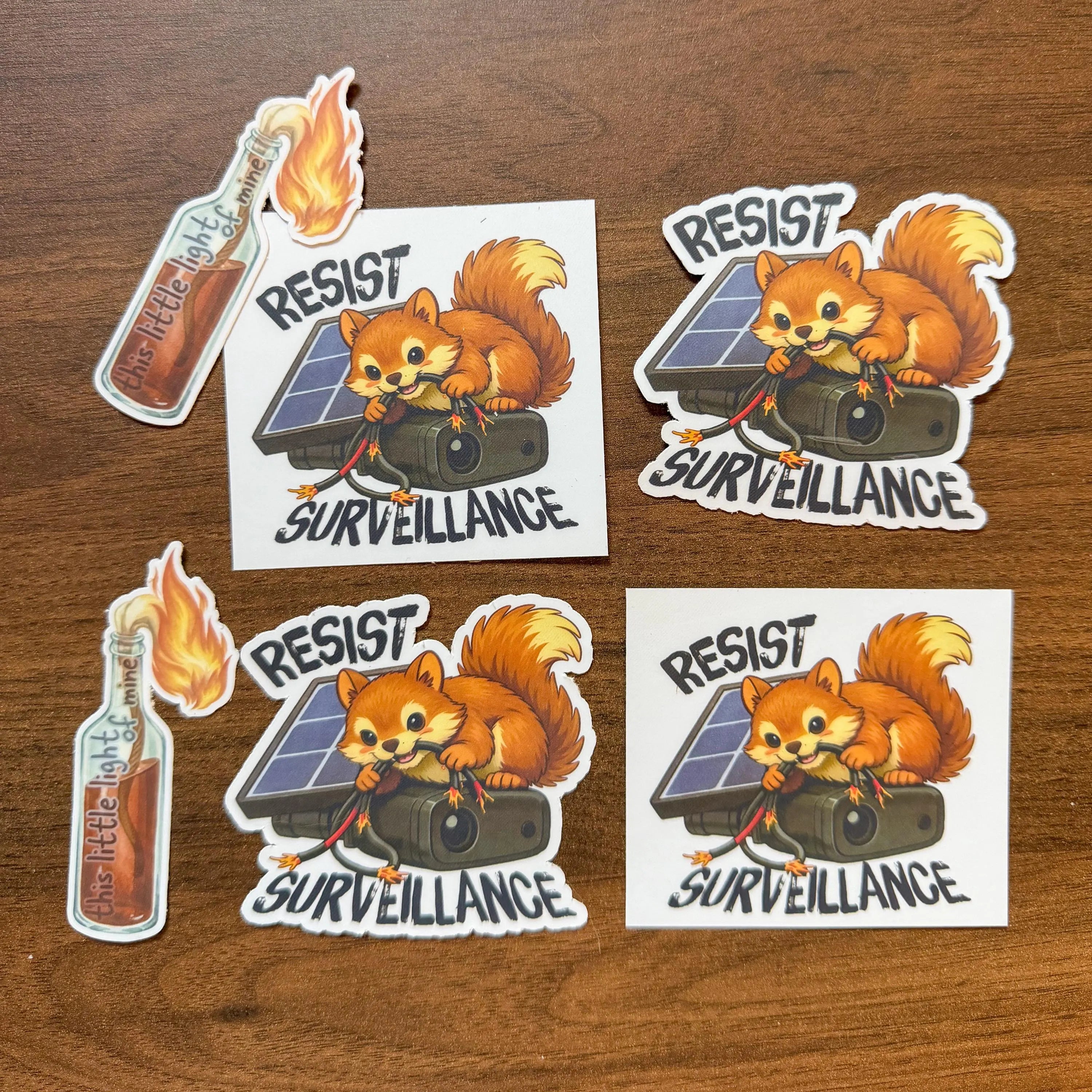 Resist Surveillance Squirrel Sticker | Anti-Camera Vinyl Decal | Weatherproof Laptop Sticker | Anarchist Cottagecore Gift